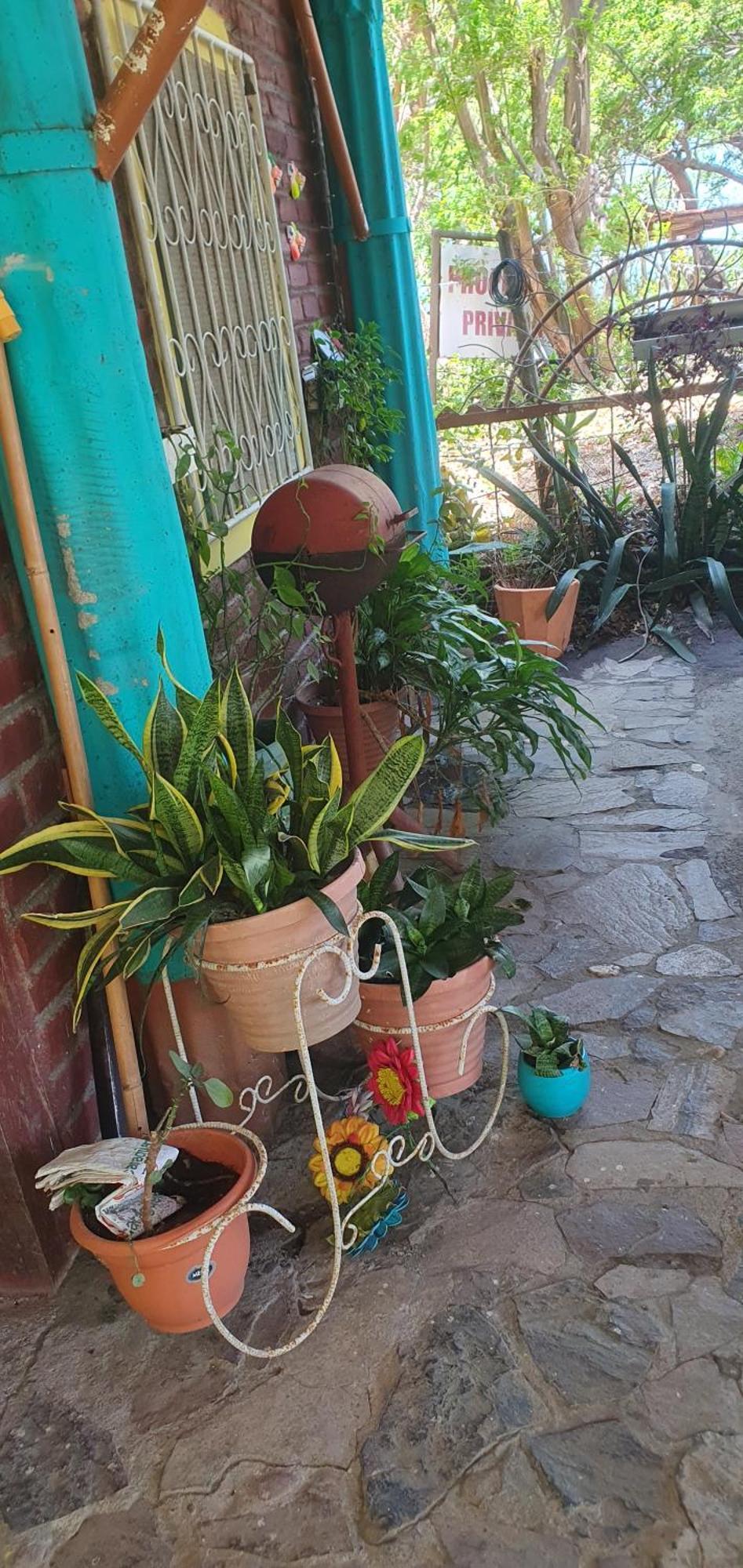Altagracia Beach Cabin Ometepe חדר תמונה