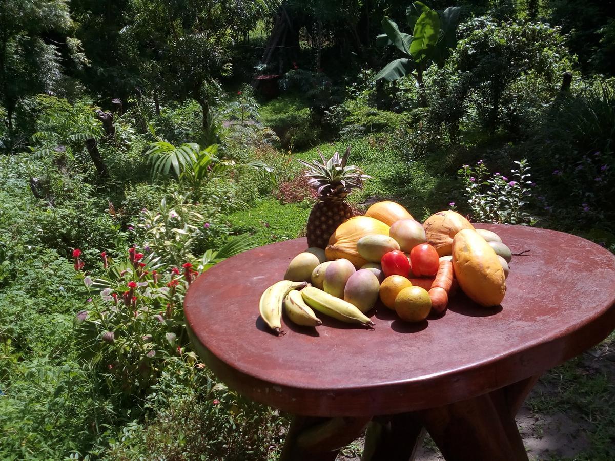 Altagracia Beach Cabin Ometepe מראה חיצוני תמונה